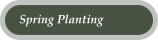 Spring Planting