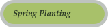 Spring Planting
